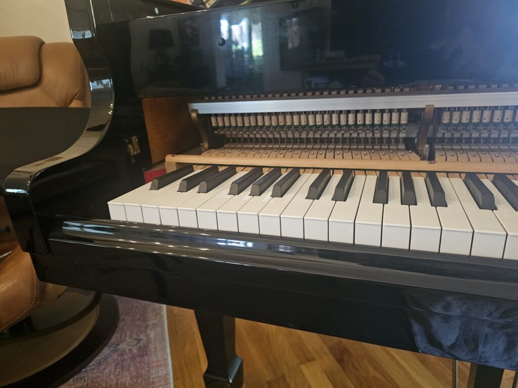 Grand piano keyslip removal.