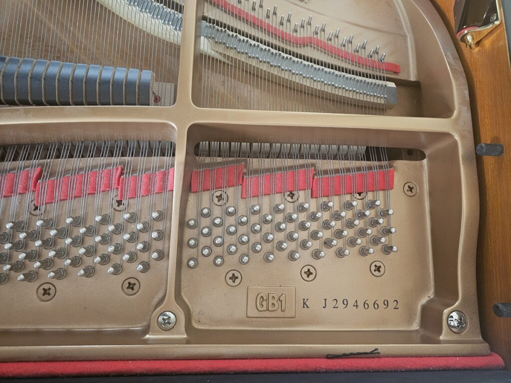 Serial number on a Yamaha GB1.